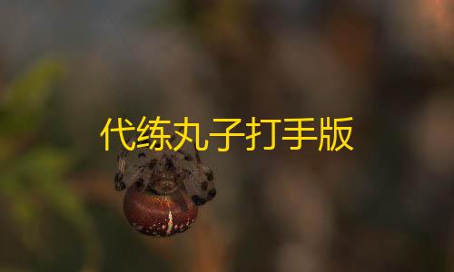 PUBG直装(免卡密)代练丸子打手版